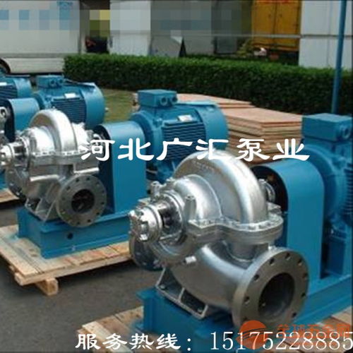 白山250S 39双吸泵中开式全方位质检流程，助力水务环保行业高效运行